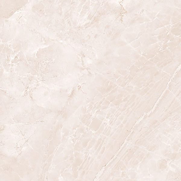 Allye Ivory